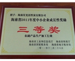 2011年度海南中小型企业成长鼓励奖三等奖